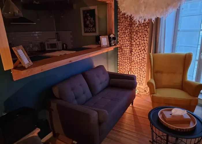 Petit Cocon Quartier Historique Chaumont